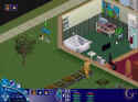 The Sims: Unleashed