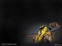 Offroad