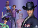The Sims