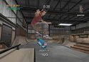 Tony Hawk's Pro Skater 3