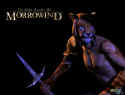 The Elder Scrolls 3: Morrowind