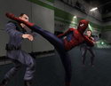 Spider-Man: The Movie