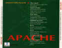 Apache: The Combat Helicopter Simulation