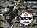 Cricket 2002