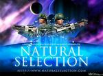 Natural Selection
