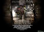 Natural Selection