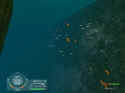 Shark!: Hunting The Great White