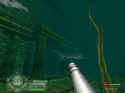Shark!: Hunting The Great White