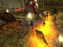 Neverwinter Nights: Shadows of Undrentide