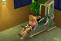 The Sims 2