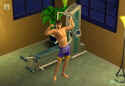 The Sims 2