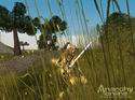 Anarchy Online