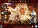 The Lord of the Rings: The Return of the King