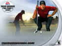 Tiger Woods PGA Tour 2004