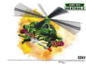 Army Men: Air Attack 2