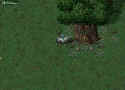 Ultima Online: Age of Shadows