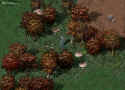 Ultima Online: Age of Shadows