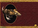 Dragon Empires