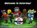 NCAA Football 2004