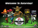 NCAA Football 2004