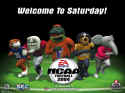 NCAA Football 2004