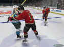NHL 2005