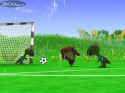 Pet Soccer