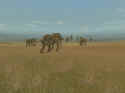Hunting Unlimited 3