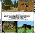 Hunting Unlimited 3
