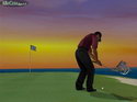 Tiger Woods PGA Tour 2005