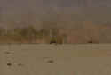 Combat Mission 3: Afrika Korps