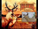 Deer Hunter 2004