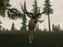 Deer Hunter 2005