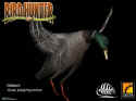 Bird Hunter 2003