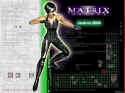 The Matrix Online