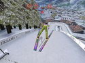 Ski Jumping 2005: Third Edition