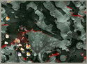 Worms: Real Time