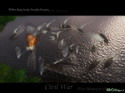Civil War: War Between the States