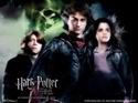 Harry Potter and the Goblet of Fire