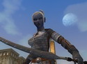 EverQuest 2: Desert of Flames