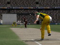 Cricket 2005