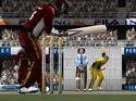 Cricket 2005