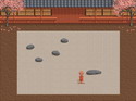 Zen Puzzle Garden