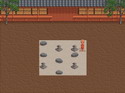 Zen Puzzle Garden
