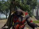 Savage 2: A Tortured Soul