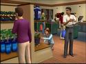 The Sims 2: Open for Business