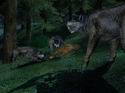 The Lord of the Rings Online: Shadows of Angmar