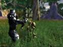 Darkfall Online