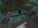 Dungeon: Gladiator