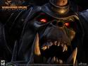 Warhammer Online: Age of Reckoning